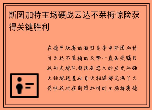 斯图加特主场硬战云达不莱梅惊险获得关键胜利